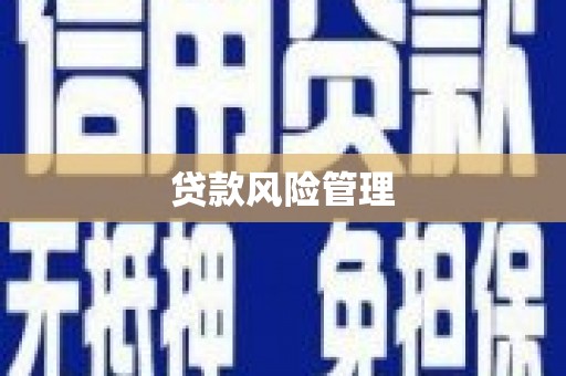 丰县贷款风险管理