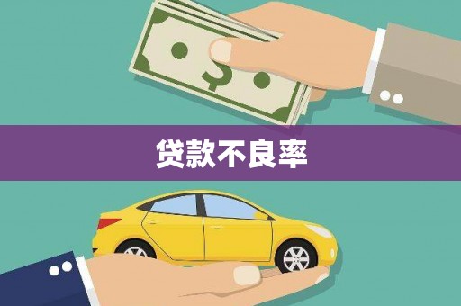 丰县贷款不良率