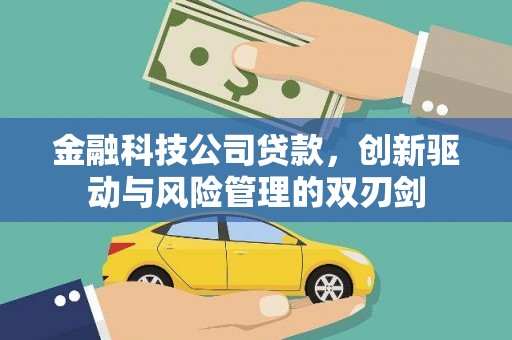 丰县金融科技公司贷款，创新驱动与风险管理的双刃剑