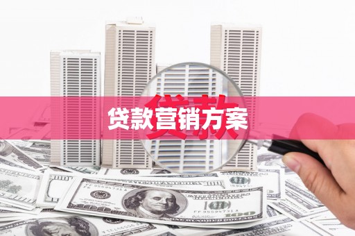 丰县贷款营销方案